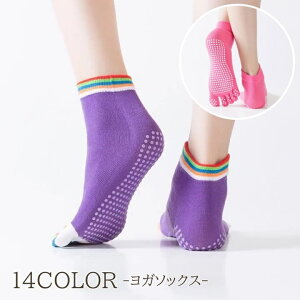  K\bNX fB[X 5{w\bNX V[g\bNX C ~ Jt PF Vv n Ԃ  wl X|[c W tBbglX g[jO