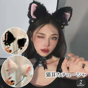  J`[V RXv fB[X lp L ˂ RX`[  nEB {  ӂӂ  lR Lbg wbhANZT[ wAANZT[  