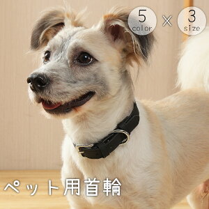  ybgp  L ybgpi xg^Cv U[ tFCNU[ DJ PF Vv x[VbN  ˂  lR Ck