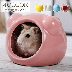  pnEX ybgpi nX^[ nEX   xbh B Q Aj} 킢  ybgnEX nX^[nEX