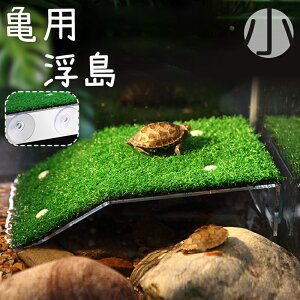   T J ybgp ঒  z lH Ő  ڂ xe ȒPݒu   CAEg fR[V