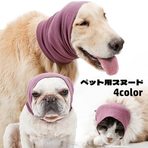  ybgpXk[h p Lp C[}t C[Jo[ Jo[ 蕨 ybgpi h~ y n Vv O[~O h ΍ U Ckp lRp