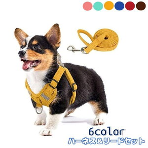 送料無料 ハーネス リード 2点セット ペット用品 犬用 猫 ドッグ キャット 小型犬 超小型犬 シンプル おしゃれ かわいい 胴輪 リーシュ 散歩紐 サイズ調整可能 反射材 お散歩 わんちゃん ねこ