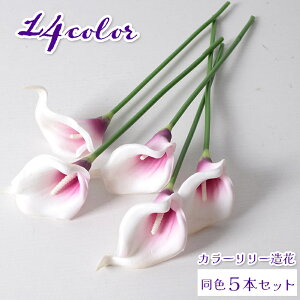   A[gt[ J[[ 5{Zbg }t CeA G A[eBtBVt[ AWg ޗ JoLx lHϗtA