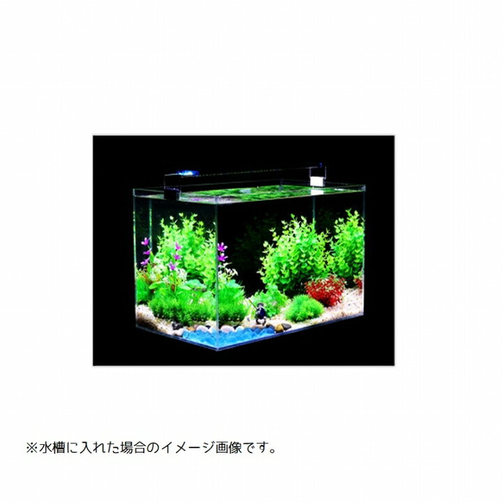 楽天市場】送料無料 アクアリウム用 人工水草 同色3本セット フェイク 