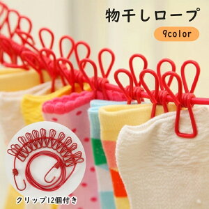  [v 󕨊 Nbv ΂ݕt 12 Xgbp[ pi [nK[  ȃXy[X Lv s ^