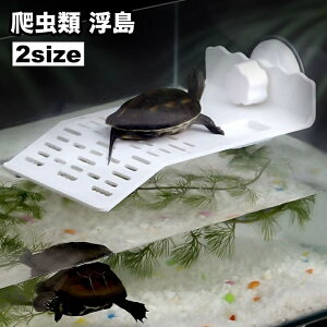   ybgp zՎt ঒ T J   ڂ xe ȒPݒu  