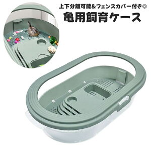  TpP[X P[W Tp Jpybgpi ঒   tFX ^[g^N  Eoh~ ؂  \ ώ@ ~hK NTK 