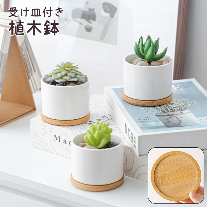 楽天市場】送料無料 植木鉢 受け皿付き 多肉植木鉢 鉢 フラワーポット 