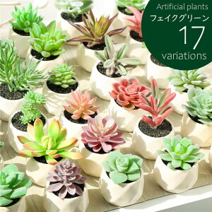  tFCNO[ Pi A  lHA ~j RpNg lHϗtA CeA O[ vc [t sv A[eBtBVO[ y  