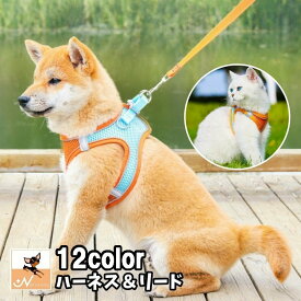 送料無料 ハーネス リード 2点セット 反射テープ 犬用 猫用 ペット用品 ペットグッズ サイズ調節可能 着脱簡単 縄 胴輪 光る バックル Dカン シンプル おしゃれ かわいい カジュアル お出かけ 散歩 外出 外遊び 公園 ピンク 青 黒 赤 オレンジ