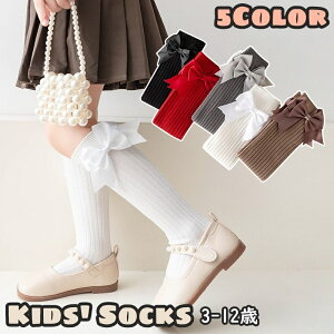  nC\bNX LbY q qǂ ̎q q  C  { u n 킢 L[g K[[ tH[} w  Ǝ \ LO LOBe Z