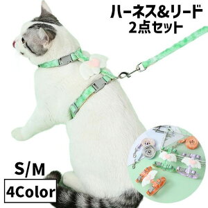  n[lX [h 2_Zbg ^p Ck  Lp ˂ lR ybgObY ybgpi [V ^b`obN }[u Of[V Vg̉H 킢 L[g 