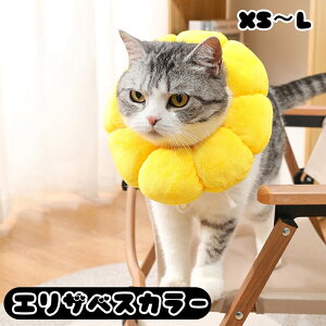  GUxXJ[ Lp p ybgpi rߖh~ ی p PApi ~h~ Ђ܂  t[ F CG[ 킢