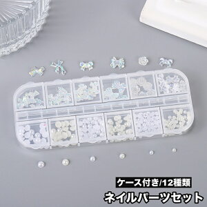  lCA[gp[c p[cZbg P[Xt 12   fR[V p[ tFCNp[ { ؂₩ e   lCA[gp ZtlC lC