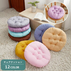  `FANbV a40cm ֎qp CXp zc ی^ Eh^ `FApbh tANbV Vv n PF CeA