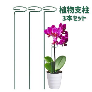  Ax 3{Zbg |px 40cm K[fjOp n  ~` t[x ϗtx 鐫A ƒ؉ A  Vv T|[g U _Ǝ