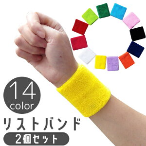 送料無料 リストバンド 2個セット 両腕用 アームバンド パイル地 汗止め 吸汗 吸水 スポーツ バスケ テニス 野球 ジム トレーニング 運動 エクササイズ 男性 女性 ユニセックス
