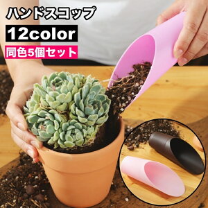  nhXRbv nhVx 5Zbg y y A  vX`bN Vv | K[fjO yx K[fc[ Aւ ڐA ͔| 񂹐A 