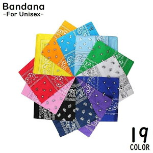  o_i fB[X Y 55cmp ` lp XNGA obOXJ[t yCY[  v[g ̓Mtg