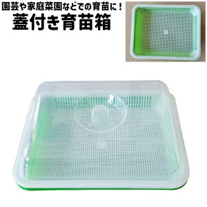  c cP[X c{bNX cgC gC ͔|P[X ͔|{bNX Wt Vv | ƒ؉ _ c   P[X {bNX