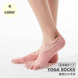  K\bNX 5{w fB[X  C  ܐ悠 ~ NXoh Vv seBX g[jO