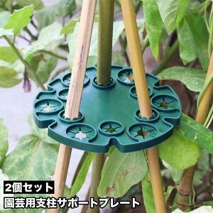  |pxT|[gv[g 2Zbg xz_[ 12 xpi Ap GhE XC[gs[ g}g LE xŒ ~` Eh^ ƒ؉ _ K[fjO