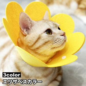  GUxXJ[ Lp p ybgpi lR Ck Xibv{^ TCY ȒP rߖh~ ی PApi Ђh~ t[  ֗ ybgObY