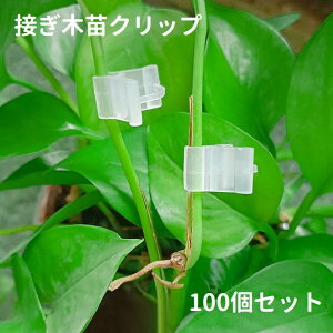  ڂؕcNbv 100Zbg ڂ؋ K[fjO |pi sNbv ڂ킹   ƒ؉  A NA 