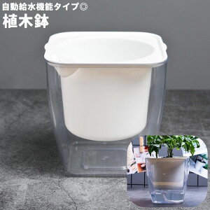 送料無料 植木鉢 自動給水 フラワーポット プランター スクエア 四角形 観葉植物 多肉植物 透明 クリア シンプル かわいい おしゃれ 卓上 園芸 ガーデニング