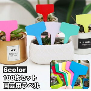  |px 100Zbg t[J[h K[fjO Ԓd Aؔ v^[ c  c d A Ǘ Jt n Vv