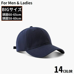  x[X{[Lbv 싅X jp 傫TCY [ߖXq UVPA O΍ 悯 Ăh~ n TCY\