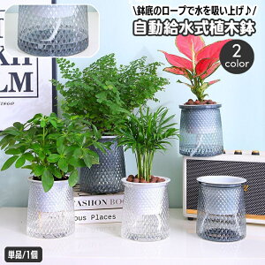  Aؔ t[|bg  Pi 1  킢 A ϗtA  ItBX  ȒP vg|bg ȒP ֗ NAJ[ K[fjO |pi