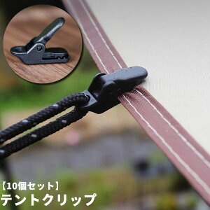  egNbv ^[vNbv 10Zbg Lvpi AEghA ŒpObv egŒ O j h ΍ RpNg ^ ֗