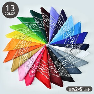  o_i F2Zbg jp fB[X Y 唻 傫 ` XNGA lp` 53cm  yCY[  