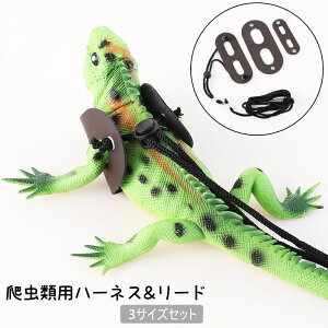  ঒ޗp n[lX [h 3TCYZbg gJQ ঒ [V R ߉\ ybgpi ybgObY [v  U o