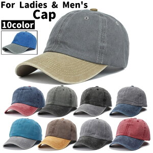  Lbv x[X{[Lbv 싅X fB[X Y jp jZbNX Xq ڂ nbg ΍L ߉\  O[ F  Vv JWA JoLx 싅 