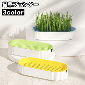  Lv^[ Lp v^[ L|bg L{bNX k͔| e P[X̂    Vv  ybgpi ˂ lR