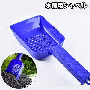  pVx   XRbv Vx  | ANAEpi pi ֗