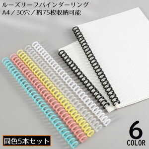  [Y[toC_[O 5Zbg vX`bN 30 a12mm 75 A4 {pƂ VXe蒠O