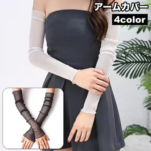  A[Jo[ rJo[ fB[X wȂ [X  Et ʋC  VA[ V[X[ Ă΍ 悯  킢 li tF~j GKg o