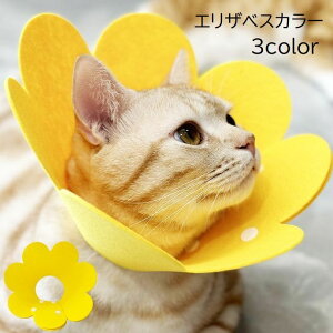  GUxXJ[ Lp lR p Ck ybgpi Xibv{^ ی Jbg\ TCY߉\ Ԍ` t[ n PF CG[ IW sN 킢  ֗ L