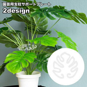  |pxT|[gv[g xz_[ xpi Ap xŒ tό^ [t^ ƒ؉ _ K[fjO   |pi