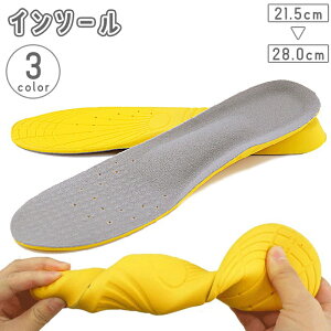  C\[ ~ ~ fB[X Y Cpi Jbg\ t[Jbg  Ռz Sy ɂ ʋC d Xj[J[  j