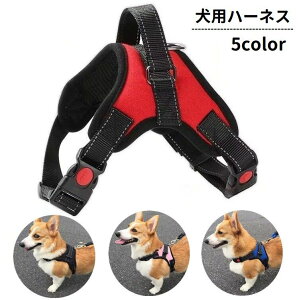  n[lX  p ybgpi ^b`obN DJt   nh ˍޕt Vv UObY o| ybgObY Ck