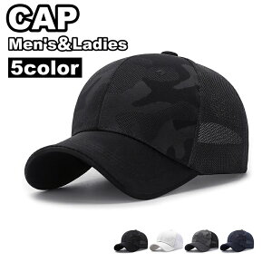  Lbv 싅X x[X{[Lbv Y fB[X Xq 悯 O΍  UV΍ TCY\ ʕ  X|[c AEghA ^ o| jp p 