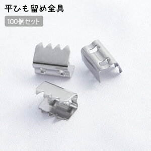  Ђ ߋ 100Zbg ߋ JVp[c ANZT[p[c Ђ R nhCh | DIY  Ghp[c