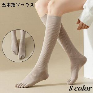  ܖ{w\bNX fB[X C nC\bNX 5{w  \bNX j[nC JWA Vv  킢 ig fC[