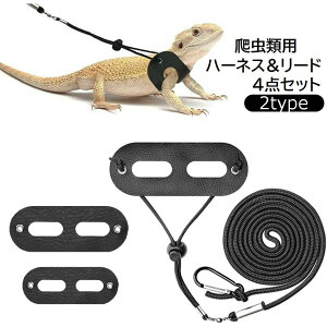  n[lX [h 4_Zbg 3TCYZbg gJQ ঒   ybgpi ybgObY tFCNU[ [v R [V U[ ߉\ n PF ubN 