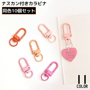  iXJ 10g Ntgp[c L[z_[p[c ڑ Jri O ] nhCh |  DIY